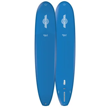9'6 WALDEN MAGIC MODEL - TRUE RIDE SURFBOARD (FUT)