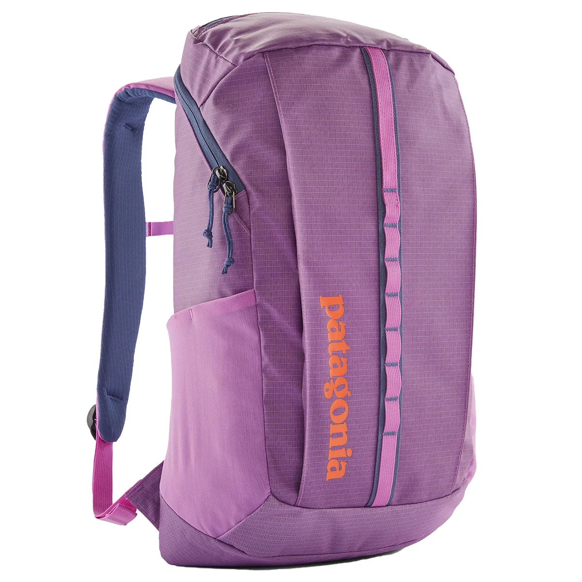 Patagonia Black Hole Backpack - 25L • 2025