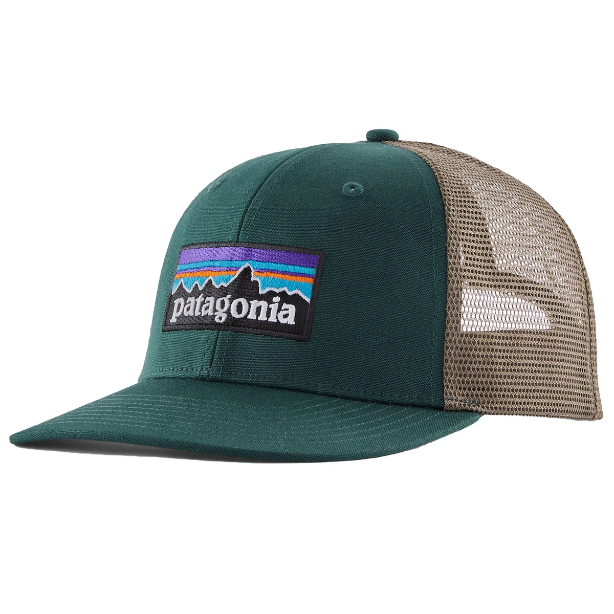 Patagonia P-6 Logo Trucker Hat • 2025