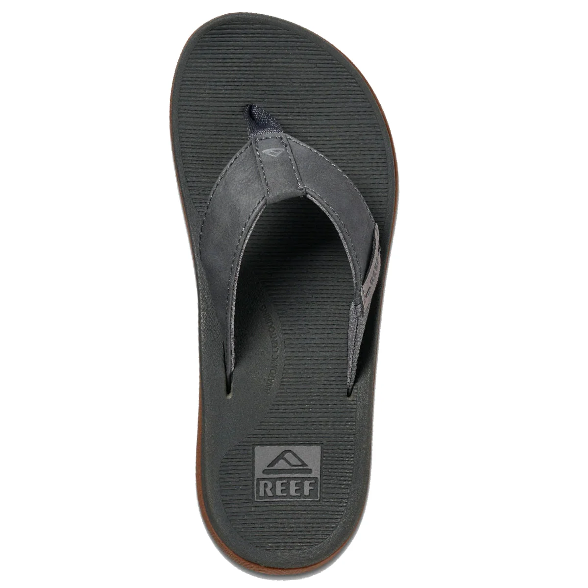REEF Santa Ana Sandals • 2025